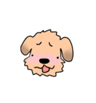 表情で語る わん吉（個別スタンプ：23）