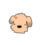 表情で語る わん吉（個別スタンプ：24）