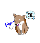 ちょこっと可愛い柴犬の日常（個別スタンプ：20）