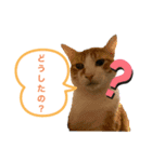 ツナとマヨ（個別スタンプ：3）