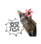 ツナとマヨ（個別スタンプ：4）