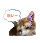 ツナとマヨ（個別スタンプ：5）