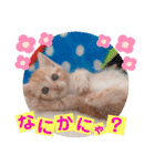 ねこまーち プリンセスクリーム（個別スタンプ：8）