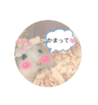 ふくみスタンプ❤️（個別スタンプ：3）
