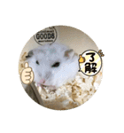 ふくみスタンプ❤️（個別スタンプ：6）