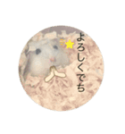 ふくみスタンプ❤️（個別スタンプ：16）