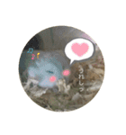 ふくみスタンプ❤️（個別スタンプ：17）
