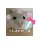 ふくみスタンプ❤️（個別スタンプ：22）