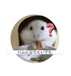 ふくみスタンプ❤️（個別スタンプ：23）