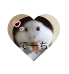 ふくみスタンプ❤️（個別スタンプ：24）