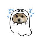 我が家のハーフ犬ポメチ⑩（個別スタンプ：2）