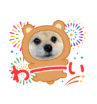 我が家のハーフ犬ポメチ⑩（個別スタンプ：21）
