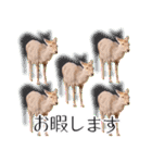 #039 奈良の鹿2 美しい日本語（個別スタンプ：8）
