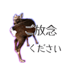 #039 奈良の鹿2 美しい日本語（個別スタンプ：18）