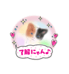 ほっとひといきにゃん（個別スタンプ：3）