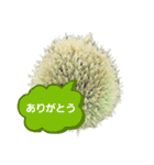 ねぎ坊主さん（個別スタンプ：2）
