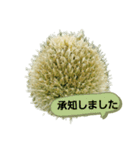 ねぎ坊主さん（個別スタンプ：3）