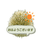 ねぎ坊主さん（個別スタンプ：5）