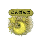 ねぎ坊主さん（個別スタンプ：9）