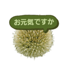 ねぎ坊主さん（個別スタンプ：16）
