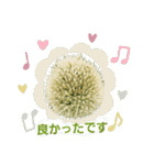 ねぎ坊主さん（個別スタンプ：21）