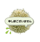 ねぎ坊主さん（個別スタンプ：23）