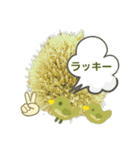 ねぎ坊主さん（個別スタンプ：30）