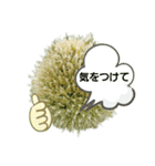ねぎ坊主さん（個別スタンプ：34）