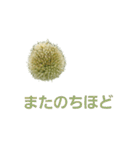 ねぎ坊主さん（個別スタンプ：39）