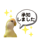 コザクラインコ 黄吉の敬語（個別スタンプ：4）