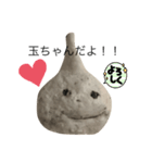 玉ちゃんだよ！！^_^（個別スタンプ：2）