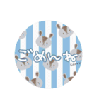 ステッカーみたいなまんまるスタンプ1（個別スタンプ：7）