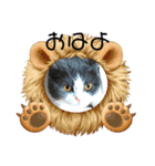 おうち猫はなちゃんのスタンプ6（個別スタンプ：5）