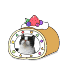おうち猫はなちゃんのスタンプ6（個別スタンプ：7）
