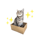 こなまみれ（個別スタンプ：12）