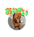 桃ちスタンプ（個別スタンプ：8）