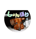 桃ちスタンプ（個別スタンプ：18）