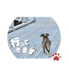 桃ちスタンプ（個別スタンプ：30）