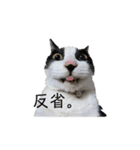 monkun.（個別スタンプ：10）