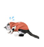 monkun.（個別スタンプ：16）