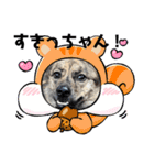 博多弁を学ぶ台湾犬。（個別スタンプ：4）