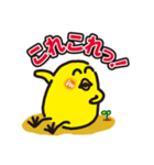 【ぴよ丸くん】イタズラ生活開始（個別スタンプ：18）