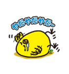 【ぴよ丸くん】イタズラ生活開始（個別スタンプ：33）