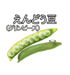 料理によく使う野菜のスタンプ（個別スタンプ：4）