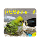 ゆきちゃんスタンプ30（個別スタンプ：7）