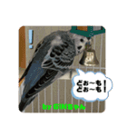 ゆきちゃんスタンプ30（個別スタンプ：8）