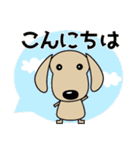 使いやすく見やすい ダックスフンド 敬語（個別スタンプ：13）