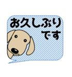 使いやすく見やすい ダックスフンド 敬語（個別スタンプ：29）