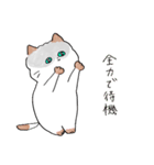 愛しいが止まらないねこ（個別スタンプ：35）