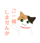 三毛猫みーにゃお仕事のご挨拶（敬語）（個別スタンプ：8）